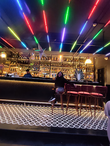 PePulse Jhansi | Lounge and Pub | Top DJ Night Club - Discotheque-Bar- Restaurant In Jhansi